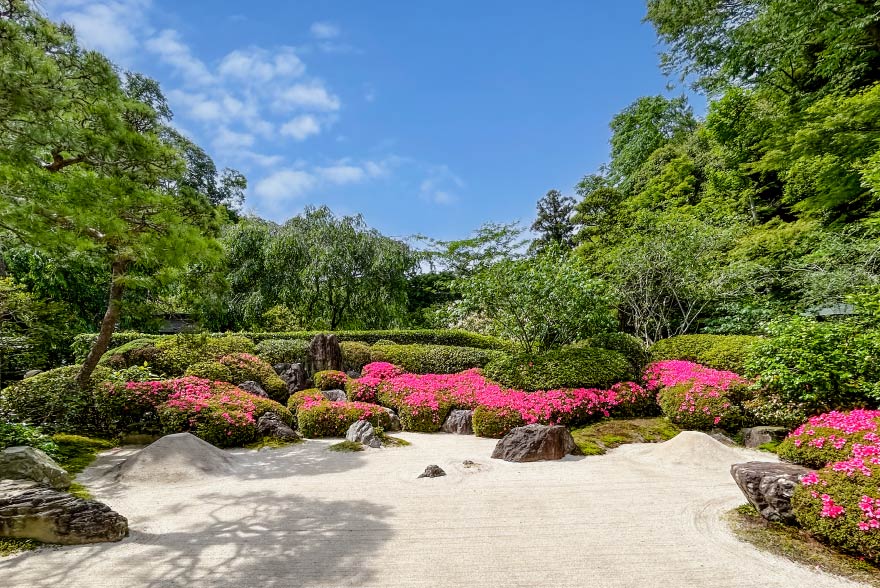 庭園管理の写真