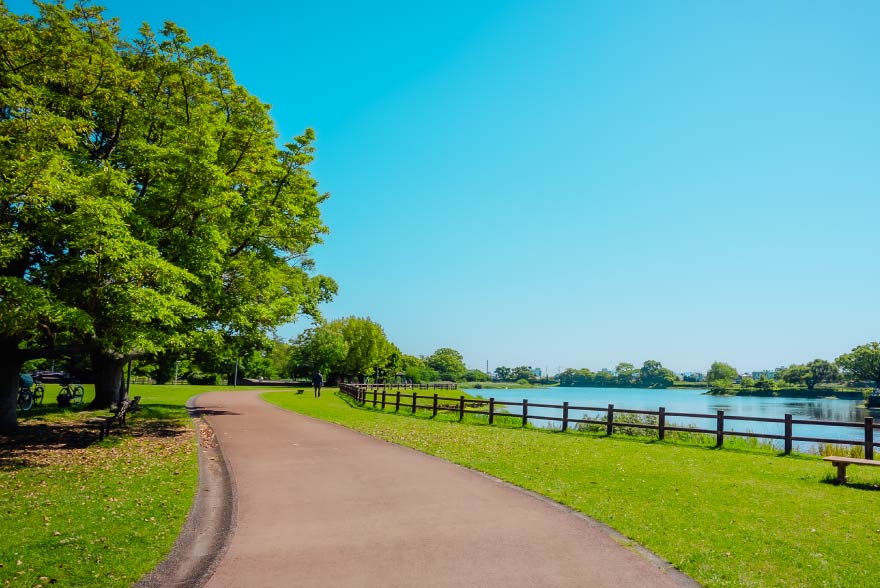 公園工事の写真