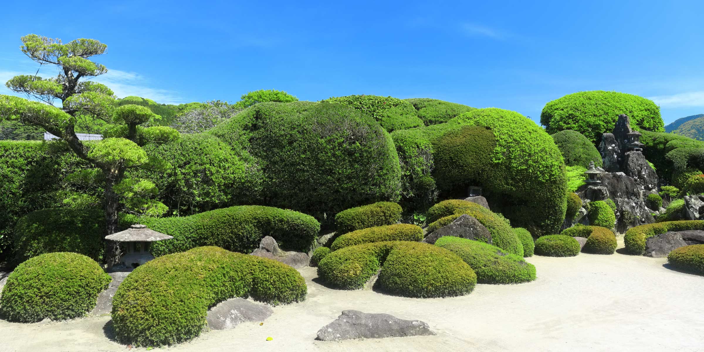 （手入れされた庭）のイメージ写真