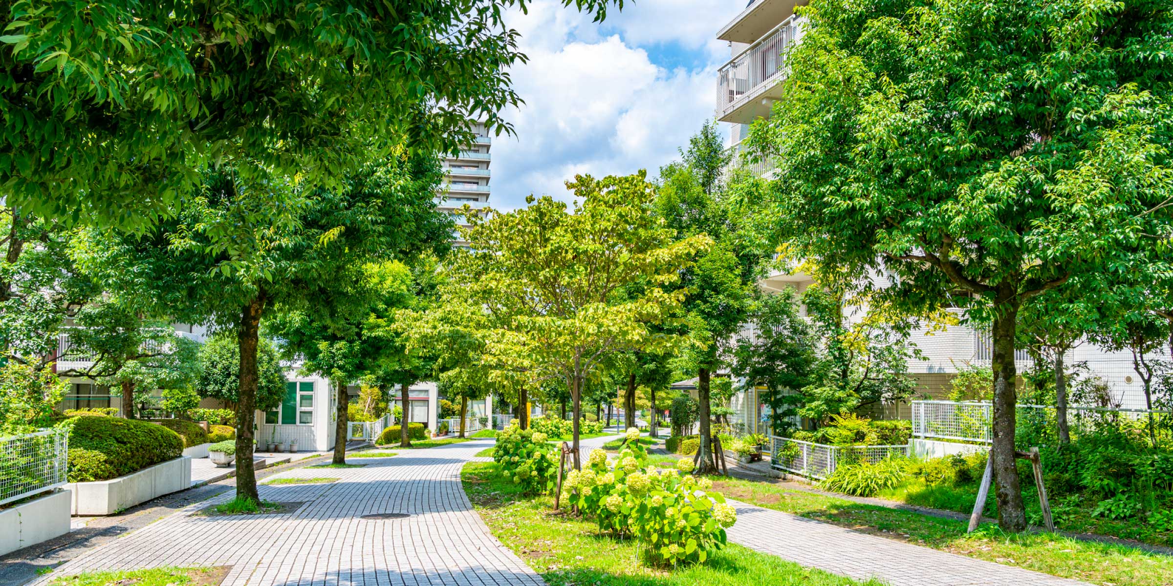 （多摩ニュータウン）のイメージ写真