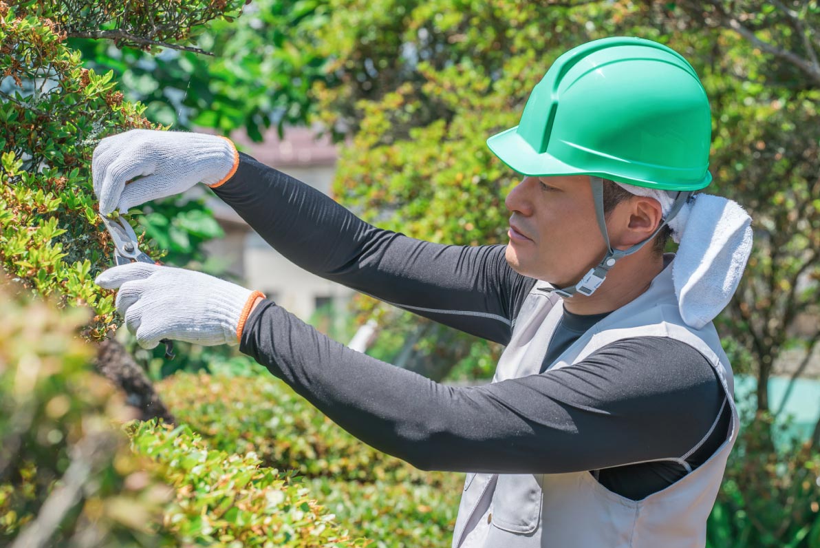 採用情報　イメージ写真